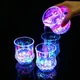 Склянка стакан з LED підсвіткою Inductive RainBow Color Cup - зображення 2