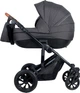 Універсальний дитячий візочок 3 в 1 FreeOn Trio Comfort Black (FO0037) - зображення 1