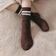 Шкарпетки в рубчик зі смужками коричневі 9694 One Size - зображення 2
