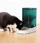 Автоматическая кормушка PETKIT 3L для кошек и собак 2,4G, только Wi-Fi, сублимированная подкладка, совместимая со съемным футляром из нержавеющей стали (белый) - изображение 2