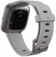 Смарт-годинник Fitbit Versa 2 Stone/Mist Grey (FB507GYSR) - зображення 4