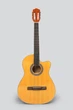 Гитара классическая 4/4 Deviser L-330 YN - изображение 1
