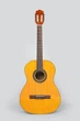 Гитара классическая 4/4 Deviser L-310 YN - изображение 1
