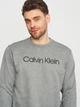 Світшот чоловічий Calvin Klein Jeans 11193.2 L Сірий - зображення 4