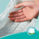 Підгузки Pampers New Baby Mini Розмір 2 (4-8 кг) 43 шт (8001090910127) - зображення 3