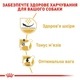 Сухий корм для дорослих собак Royal Canin (Роял Канін) PUG ADULT породи Мопс 3кг - изображение 5