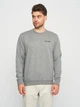 Світшот чоловічий Calvin Klein Jeans 11194. 2 L Сірий - зображення 1