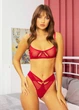 Женский комплект нижнего белья Red Dream No Brand 873-75 Красный 75 (75В/42) - изображение 1