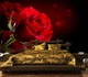 3D Фото Обои PHOTODECOR "Роза над водой" - изображение 6