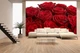 3D Фото Шпалери PHOTODECOR "Королівські троянди" - зображення 2