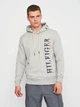 Худи мужское Tommy Hilfiger 11212.2 S Серое - изображение 1
