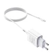 Адаптер сетевой HOCO MicroUSB cable 1m Asombroso C81A 1USB 2.1A white - изображение 2