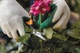 Ножиці Fiskars Solid Softgrip SP15 1051602 - зображення 7