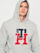 Худи мужское Tommy Hilfiger 11208.2 S Серое - изображение 4