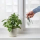 Опрыскиватель для растений IKEA SESAMFRÖN прозрачное стекло 250 мл 204.881.89 - изображение 3