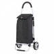 Сумка-візок ShoppingCruiser Foldable 40 л Black (927297) - зображення 1