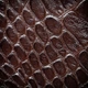 Чохол книжка Crocodille з натуральної шкіри для Samsung S24 Plus ручної роботи | Коричневий | Глянець - изображение 5