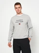 Свитшот мужской Tommy Hilfiger 11203.2 S Серый - изображение 1