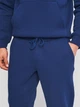 Спортивные штаны утепленные мужские ROZA 210549 XL Синие (4824005682056) - изображение 4