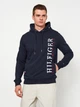 Худі чоловіче Tommy Hilfiger 11212.1 2XL Темно-синє - зображення 1