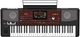 Синтезатор Korg PA700 - изображение 2