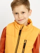 Детский стеганый дутий жилет Coccodrillo Outerwear Boy Kids WC3178103OBK-026 104 см Желтый (5904986034460) - изображение 4