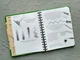 Sketchbook. Малюємо квіти. Експрес-курс - укр. - изображение 3