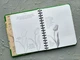 Sketchbook. Малюємо квіти. Експрес-курс - укр. - изображение 6