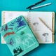 Sketchbook. Малюємо тварин. Експрес-курс, м'ятний - укр. - изображение 10