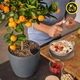 Розумний вазон Lechuza CLASSICO Color ECO 21 сірий - зображення 5
