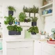 Розумний вазон Lechuza Green Wall Home Kit Color прямокутний 40 см (48 x 15 x 14 ) білий (13398) - зображення 8