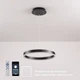 Светодиодная люстра Esllse подвесная с пультом и приложением STELLA 64W R-APP-400x1200-BLACK/WHITE-220-IP20 - изображение 2