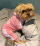 Костюм спортивный для собак Adidog Розовый L - изображение 2
