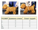Сарафан для собак светло зеленый XL - изображение 4