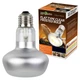 Лампа точкового обігріву Repti-Zoo Flat Type Heating Bulb 75W з UVA-променями для тераріумів (C63075A) - зображення 1