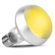Лампа точкового обігріву Repti-Zoo Flat Type Heating Bulb 75W з UVA-променями для тераріумів (C63075A) - зображення 2