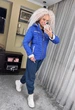 Fashions • Куртка трансформер женская Entony Fashions 42 электрик (№3503/а-бр-мк) - изображение 1