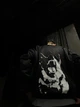 Бомбер оверсайз чоловічий OGONPUSHKA Strike Bark чорний XL - изображение 10