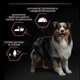 Сухий корм для дорослих собак середніх порід з чутливою шкірою Purina Pro Plan Medium Adult 1+ Sensitive Skin з лососем 14 кг (7613035120464) - зображення 7