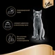 Упаковка вологого корму для котів Sheba Fine Flakes з індичкою для котів шматочки в желе 24 шт. * 85 г - зображення 4