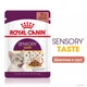 Вологий корм Royal Canin Sensory Taste in Gravy для дорослих кішок, що стимулює смакові рецептори 84шт*85г - - зображення 2
