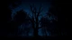 Ключ активації Slender: The Arrival для Xbox One/Series S/X - зображення 4