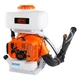 Опрыскиватель бензиновый GTM 3WF-600C - изображение 2