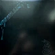 Metallica – Metallica 2LP 1991/2021 (BLCKND008R-1) - изображение 1