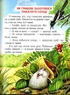 Найгарніша мама. Казки - Василь Сухомлинський (9789661694506) - изображение 3