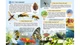 Чомусикам про все на світі - Юлія Куликова, Юлія Данчук (9789669474841) - изображение 5