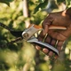 Секатор Fiskars Plus P531 суцільнометалевий обвідний (1057168) - зображення 3