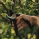Секатор Fiskars Solid P321 обводной (1057162) - изображение 3