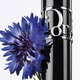 Tusz do rzęs Christian Dior Diorshow 24H Wear Buildable Volume 288 Wydłużający 6 g (3348901591904) - obraz 5