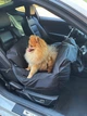 Автокрісло автогамак лежак сумка-переноска для собак та котів з 52х52 см Incor Чорний (І-154) - зображення 8